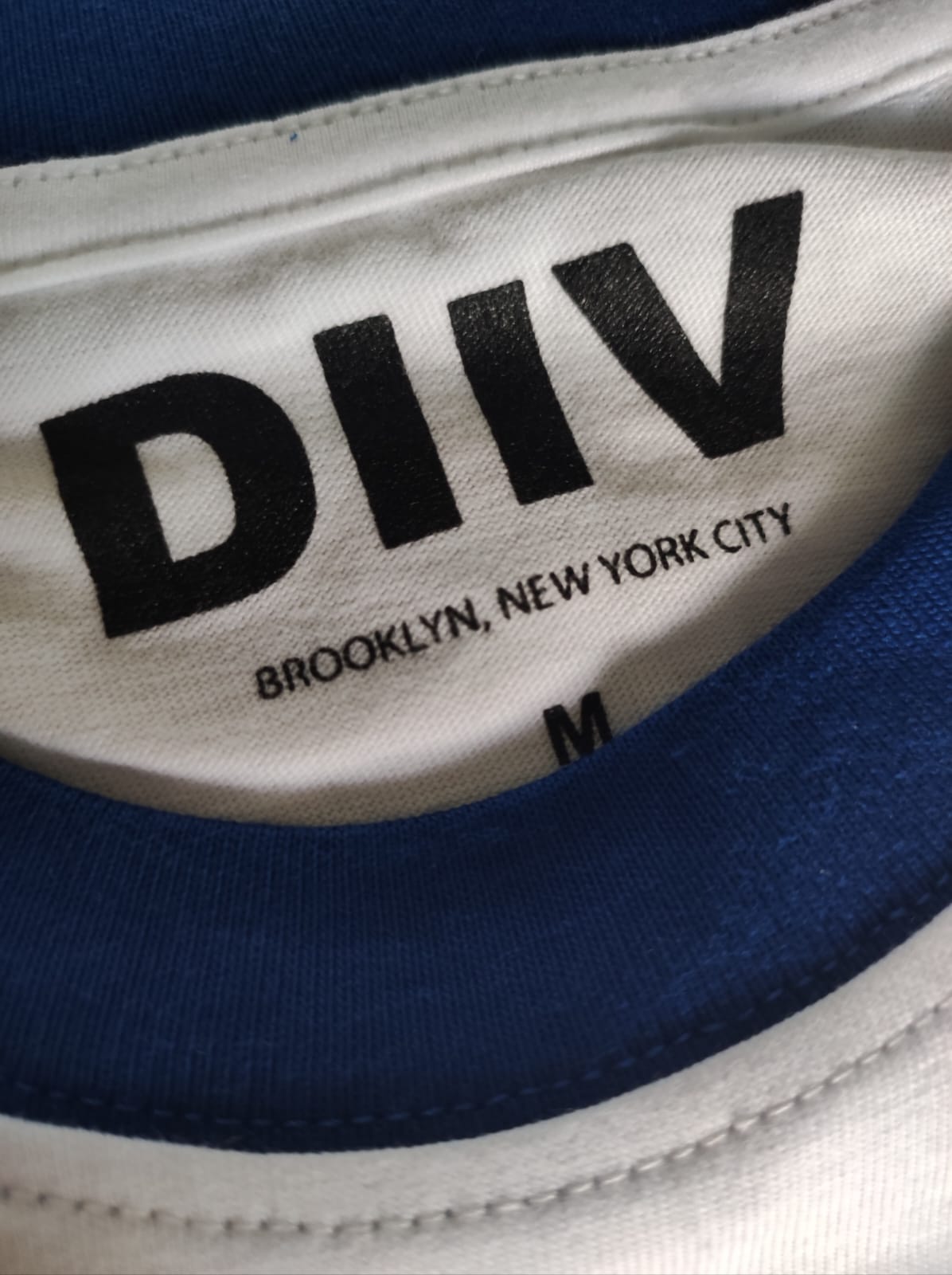 DIIV "SURFER GIRL" RINGER TEE - Alternative